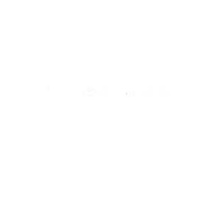 Collectivités (7) (1)